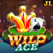 Wild Ace Airon slot